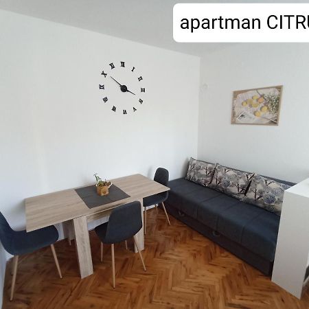 Apartman "Citrus" تريبينيي المظهر الخارجي الصورة