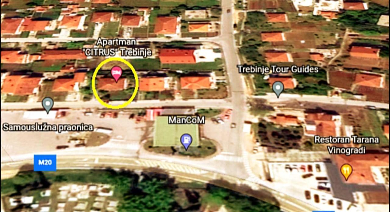 Apartman "Citrus" تريبينيي المظهر الخارجي الصورة